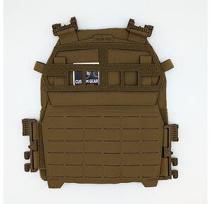 Custom Gear Viking Plate Carrier - Coyote